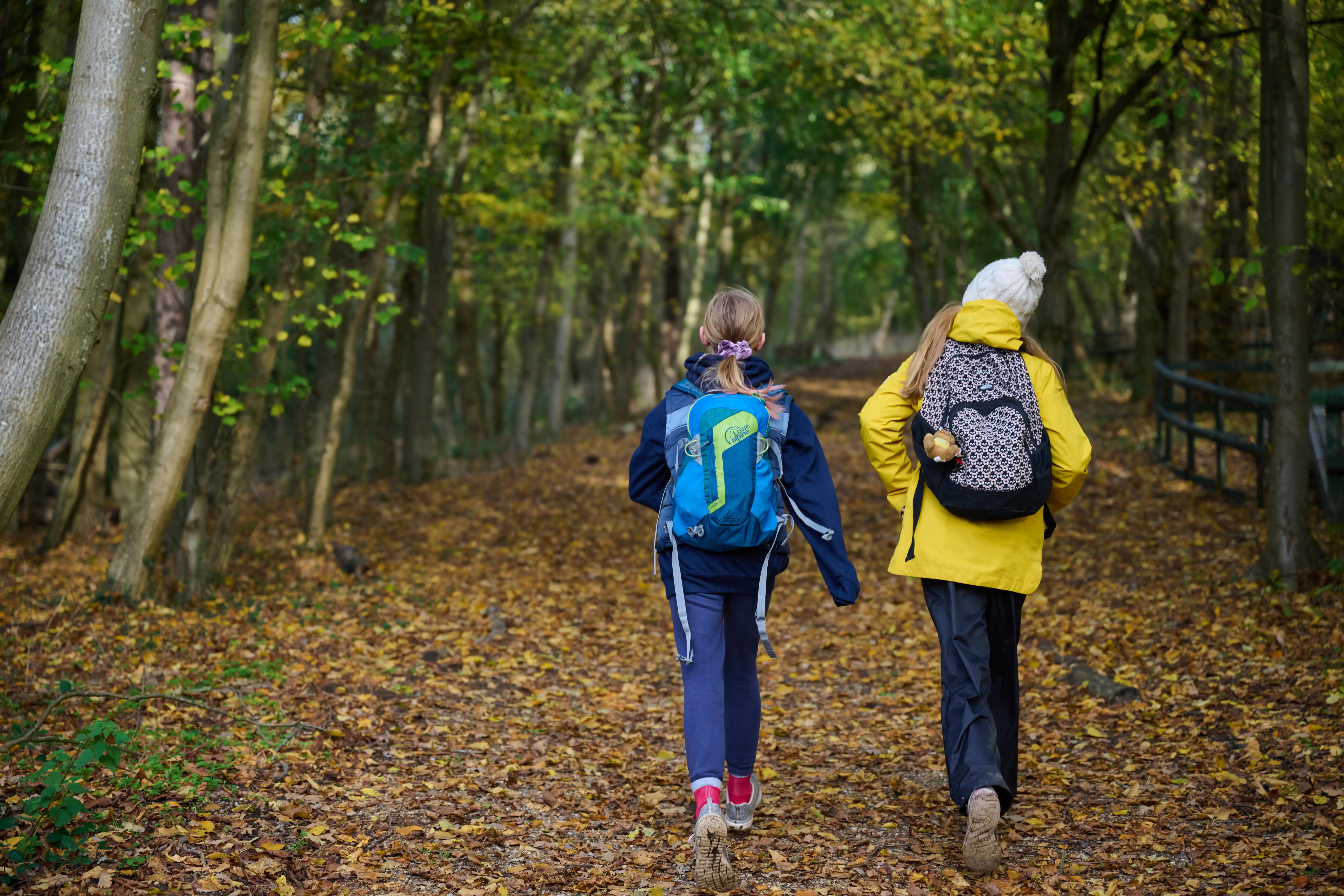 2 Cubs head off on an adventure.